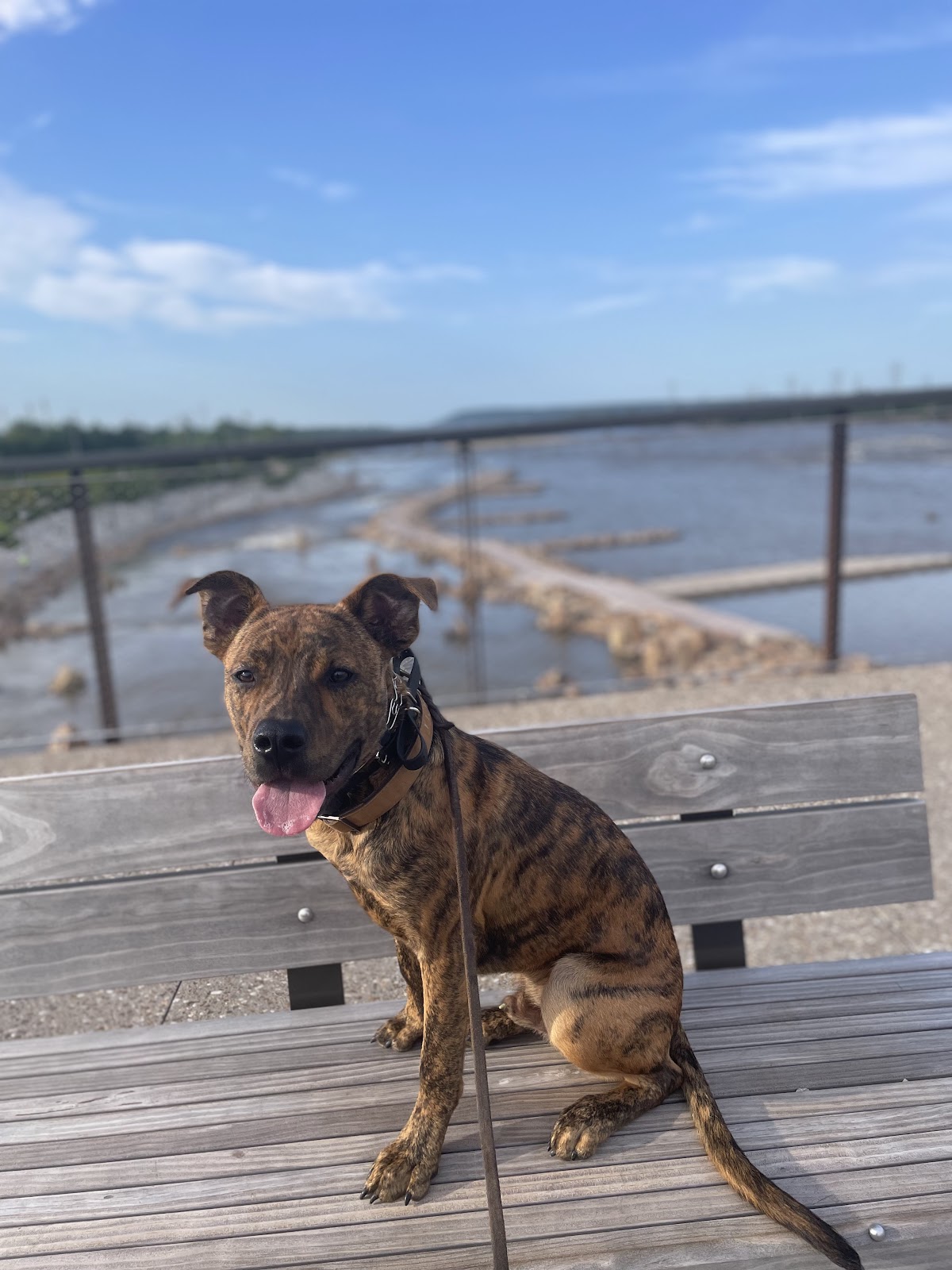 Farm Adventures