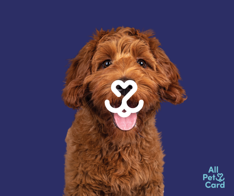 All Pet Card - Happy Dog